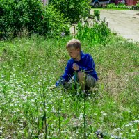 Цветочки :: Пётр Сухов