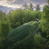 Вечер в Саржином яру :: Лидия Цапко