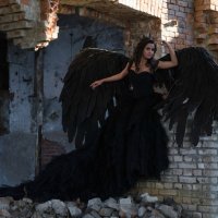 black bird :: Olesya 