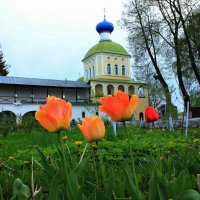 церковь Тихвинской Божей матери :: Сергей Кочнев