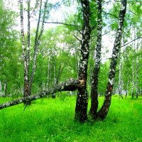 Окрестности Мценска. :: Владимир Драгунский