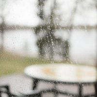 Дождь :: Марина Павлова