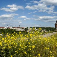 Лето в городе. :: Николай Сидаш