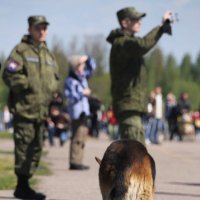 Вернулся, бродяга... :: Tatiana Markova