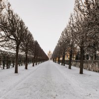 Верхний парк :: Владимир Колесников