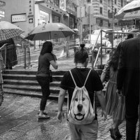 rainy hour in Hong Kong :: Sofia Rakitskaia
