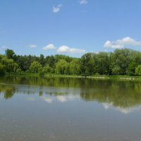 Небольшое   озеро   в   Ивано - Франковске :: Андрей  Васильевич Коляскин