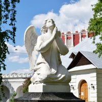Ангел из Новодевичьего монастыря. :: Татьяна Помогалова
