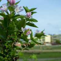 Саянск :: Евгений Князев