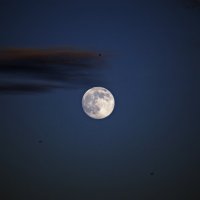 Луна - Марионетка :: Валерий Лазарев