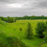 В пасмурную погоду :: Сергей Тарабара