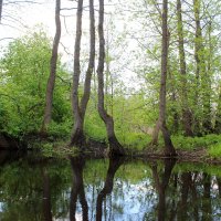 Кругом вода :: Милагрос Экспосито