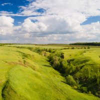 Антраки :: Сергей Крылов