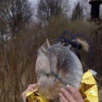 Космические приключения :: Евгений Жиляев