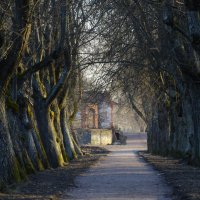 В вечернем свете.... :: Юрий Цыплятников