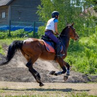 ## :: Александр Ломов