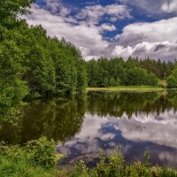 Озеро в лесу :: Андрей Дворников
