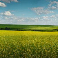 ПО ДОРОГЕ В КУМЫЛГУ....... :: Алексей Фотограф Михайловка