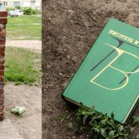 Бездомная книга. :: Олеся Буранова