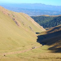 ... :: Наталья Лукашова