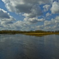 начало весны :: Павел Данилевский