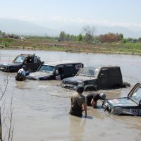 Ну че, мужики, поплыли? :: Наталья Лукашова