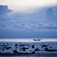 thailand. koh samui :: Роман Шаленкин