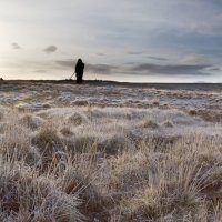 Седое утро :: Вероника Бошман