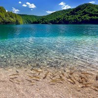 Плитвицкие озера Хорватия :: Сергей Матях