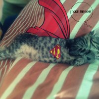 Мой маленький звездный Спаситель — Супермен! :: Александра Афанасенко