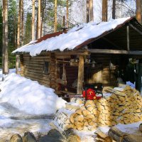 Избушка, рыбаков и охотников. :: Андрей Генинг.