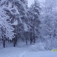 зимушка :: Анастасия Турбал