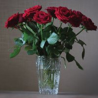 Розы для любимой :: Константин Беляев