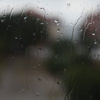 Дождь :: Ольга Скороходова