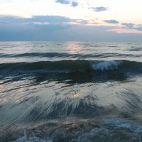 водное натяжение :: Дмитрий Родышевцев