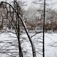 Зима :: Александръ Морозовъ
