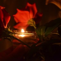 Роза и свеча :: Марина Пономарева