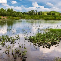 Большая вода :: Любовь Потеряхина