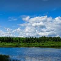 Озёра Смоленщины :: Милешкин Владимир Алексеевич 