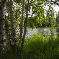 Прогулка по местам детских лет. :: Владимир Мальцев