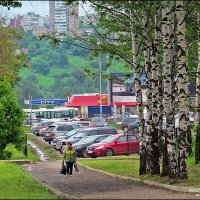 ВЛАДИМИР ПРОВИНЦИАЛЬНЫЙ :: Валерий Викторович РОГАНОВ-АРЫССКИЙ