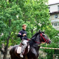 Пасутся кони возле дома :: александр донченко