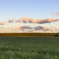 Прогулка по местам детских лет. :: Владимир Мальцев