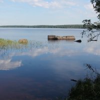 вид на залив парк Монрепо Выборг :: maikl falkon 