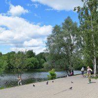 А под Москвою ловятся лещи, водятся грибы, ягоды, цветы... :: Татьяна Помогалова