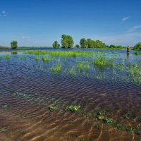 Большая вода :: Виктор Четошников