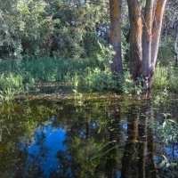 Вода :: Владимир Сквирский