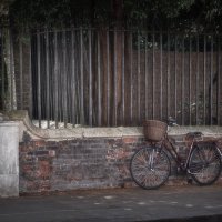 Кембридж - город велосипедистов :: Анна Браун 