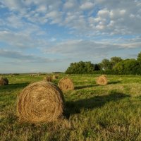 Уж осень не за горами. :: Роман Ч .