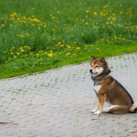 Посиделки. :: Владимир Безбородов